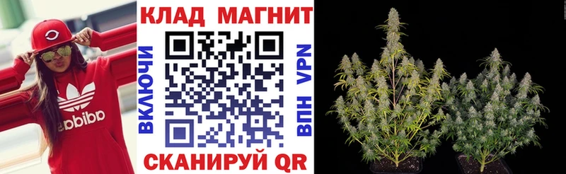 Купить закладку ГАШ  Амфетамин  Кокаин  Меф  Канабис  Alpha PVP  Старица