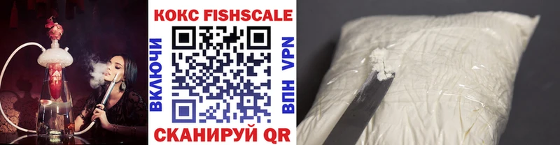 Купить закладки  Старица  COCAIN Эквадор 