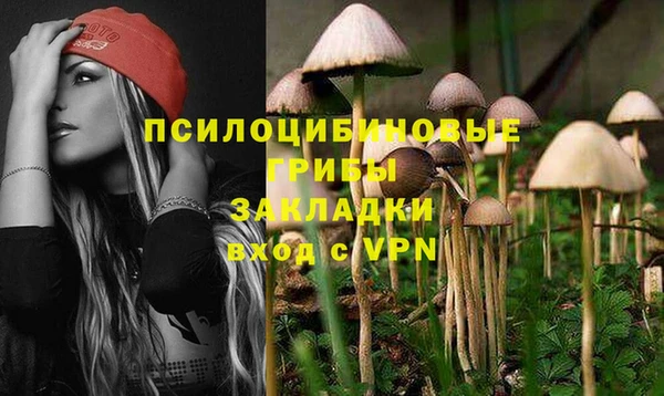 a pvp Касимов