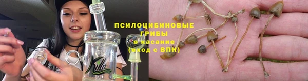 a pvp Касимов