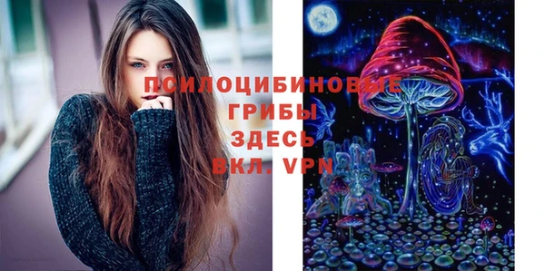 прущая мука Карпинск