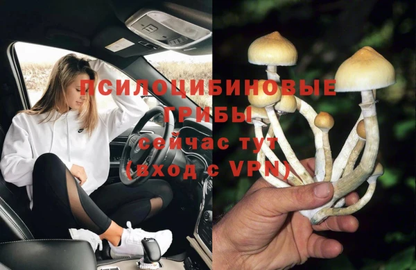 a pvp Касимов