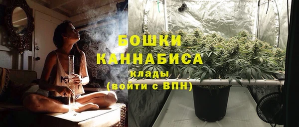 прущая мука Карпинск